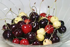 Wild Cherry Varieties Drucke: Diffrent cherry sorts in a bowl