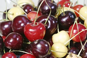 Colorful Fruit Mix Drucke: Diffrent cherry types, colorful cherry mix