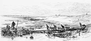 North Sea Coastal Protection Drucke: Dike construction after the flood