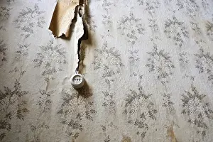 Deserted Power Supply Drucke: Dilapidated wall of wallpaper with floral pattern and old electrical socket