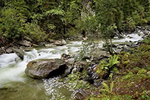 Uninhabited Mountain Stream Drucke: Diosaz mountain river in the gorge
