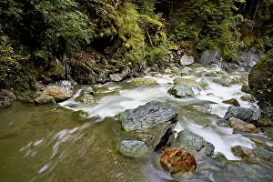 Uninhabited Mountain Torrent Drucke: Diosaz mountain river in the gorge