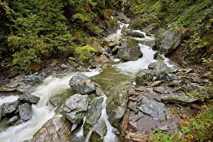 Chamonix Mont Blanc Landscape Drucke: Diosaz mountain river in the gorge