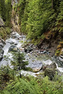 Uninhabited Mountain Torrent Drucke: Diosaz mountain river in the gorge