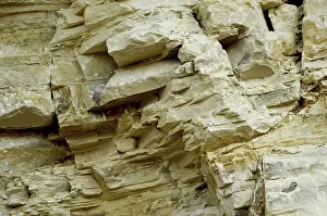 Nature Tourism In Germany Drucke: The disk lime in a quarry in Solnhofen