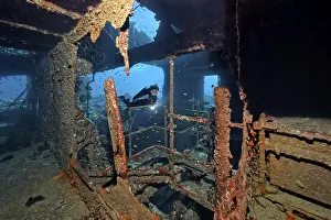 Deserted Boat Trip Drucke: Diver, diver below deck in wreck