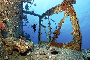 Scuba Diver Underwater Scene Drucke: Diver, diver, looking at deck superstructure) on wreck