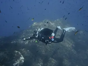 Mediterranean Sea Dive Site Drucke: Diver explores the seabed surrounded by fish in a deep blue environment