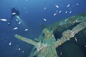 European Underwater World Drucke: A diver with flashlight explores a shipwreck