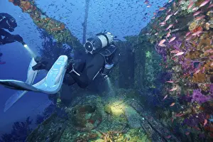 Scuba Diving Location Drucke: Divers float through the remains of a sunken ship