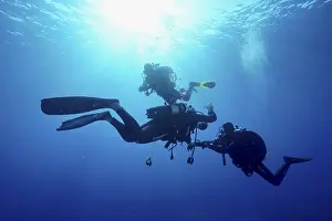 Sunlight Underwater Scene Drucke: Three divers together underwater at a decorative stop