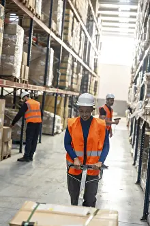 Diverse Logistics Team Drucke: Diverse logistics team preparing packages