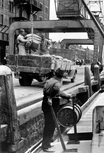 Gerahmter Druck : Hafenarbeiterin, Entladung einer Schiffes Gerahmter Druck : Hafenarbeiterin, Entladung einer Schiffes