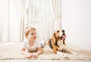 Young Boy With Dog Drucke: The dog and the boy are playing together