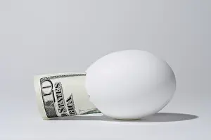 Deserted Banknote Scene Drucke: The bill of ten dollar in the chicken egg