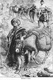 Escher Affenreiter in Kairo Ägypten Esel