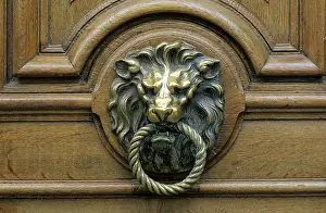 Decorative Door Fitting Drucke: Door knocker