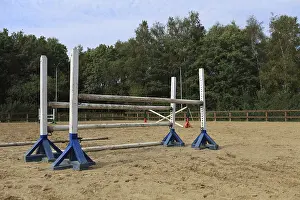 Doppelbarriere im Springpferdkurs.