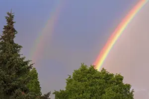 Southern Germany Weather Phenomenon Drucke: Double rainbow, partial view, with trees