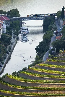 Wine Growing Region Drucke: Douro Valley, Train and Douro River