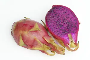 White Fleshed Pitahaya Drucke: Dragonfruit / (Hylocereus triangularis)