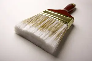 Deserted Plant Scene Drucke: Dramatic angle of paint brush, focus is on the bristles