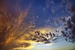 Cirrocumulus Clouds Drucke: Dramatic, atmospheric cirrocumulus (Cirrocumulus) at sunset