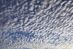 Waterfront Morning Atmosphere Drucke: Dramatic blue sky with rows of white stratocumulus clouds at sunrise