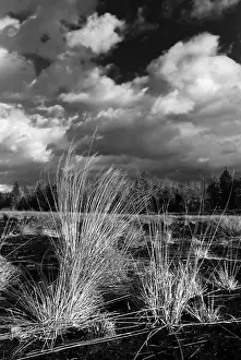 Southern German Nature Scenes Drucke: Dramatic clouds forming over a former peat bog