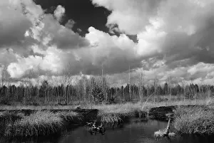 Cloudy Atmospheric Mood Drucke: Dramatic clouds forming over a former peat bog