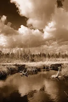 Fossil Energy Source Germany Drucke: Dramatic clouds forming over a former peat bog