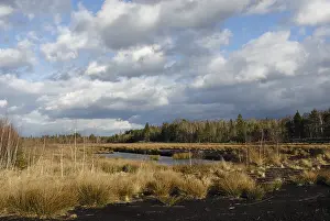 Dramatic Cloud Formation Drucke: Dramatic clouds forming over a former peat bog