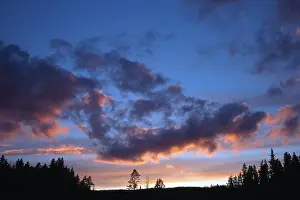 European Cloudy Skies Drucke: Dramatic clouds at sunset over pine trees and forests