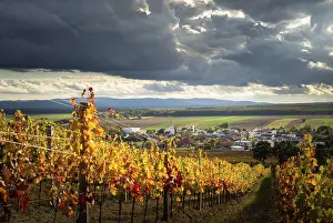 Autumn Vineyard Scene Drucke: Dramatic clouds over village of Raiding