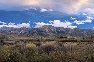 South Island Mountain Scenery Drucke: Dramatic cloudscape, mountain landscape and tussock grass