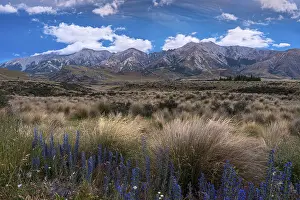 Dramatic Cloudscape Photography Drucke: Dramatic cloudscape, mountain landscape and tussock grass