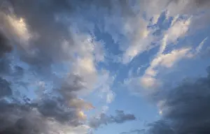 Southern Germany Rural Scene Drucke: Dramatic cloudy sky, Black Forest