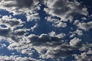 Cloudy Blue Skies Drucke: Dramatic cloudy sky with cumulus clouds