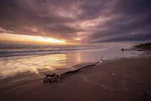 Deserted Sandy Beach Scene Drucke: Dramatic cloudy sky at sunset, tree trunk on the beach