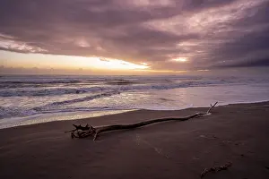 Tree Trunk On Beach Drucke: Dramatic cloudy sky at sunset, tree trunk on the beach