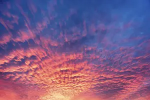 Cloudy Evening Skies Drucke: Dramatic evening sky with red clouds after sunset