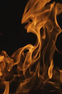 Dark Background Flames Drucke: Dramatic flames against A dark background