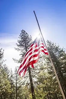 American Flag Symbolism Drucke: Dramatic half mast american flag among trees