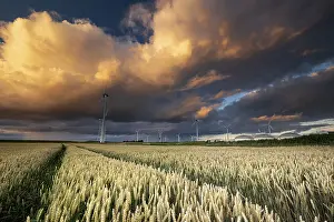 Stormy Weather In Europe Drucke: Dramatic shower cloud at sunset over wheat field and windmills