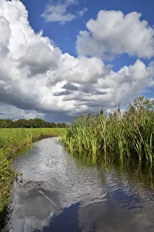 Gloomy Deserted Landscape Drucke: Dramatic stormy sky reflected in river