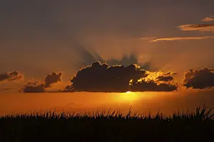 African Desert Landscapes Drucke: Dramatic sunset behind clouds at Chebel