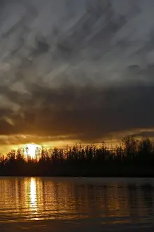 Northern German Landscapes Drucke: Dramatic sunset with dark sky and golden reflections
