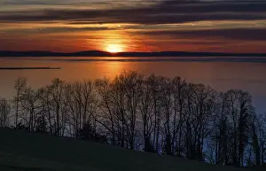 Drucke von Dramatischer Sonnenuntergang am See, Bregenz, Abendstimmung, Vorarlberg, Bodensee, Österreich Bodensee Drucke: Dramatischer Sonnenuntergang am See, Bregenz.