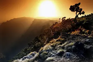 Atmospheric Landscapes Drucke: Dramatic sunset over a mountain landscape with tree