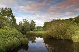 Blurred Motion Photography Drucke: Dramatic sunset over river between trees